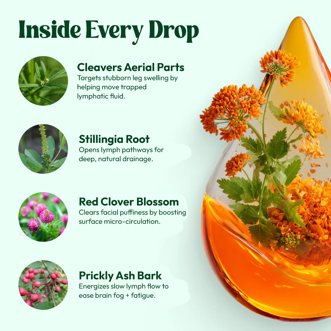 Lymphatic Drainage Wellness Drops